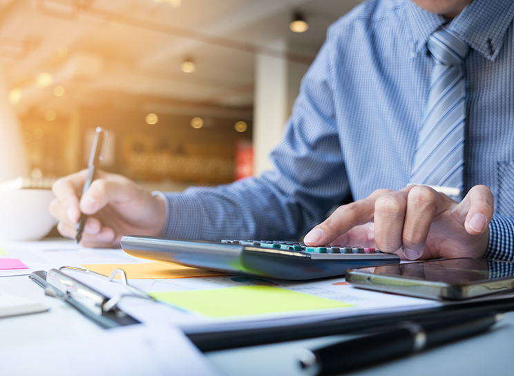 Domestic Accounting Services